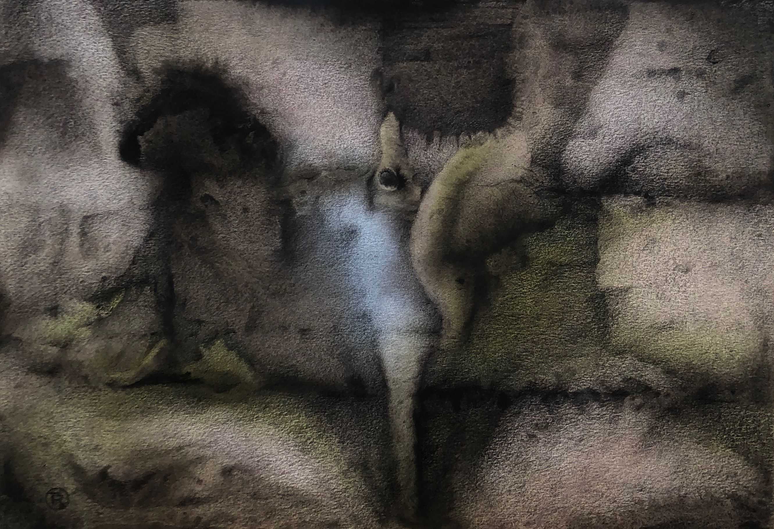 Fossile, acrylique sur carton de Robert Thisens, 35 x 50 cm