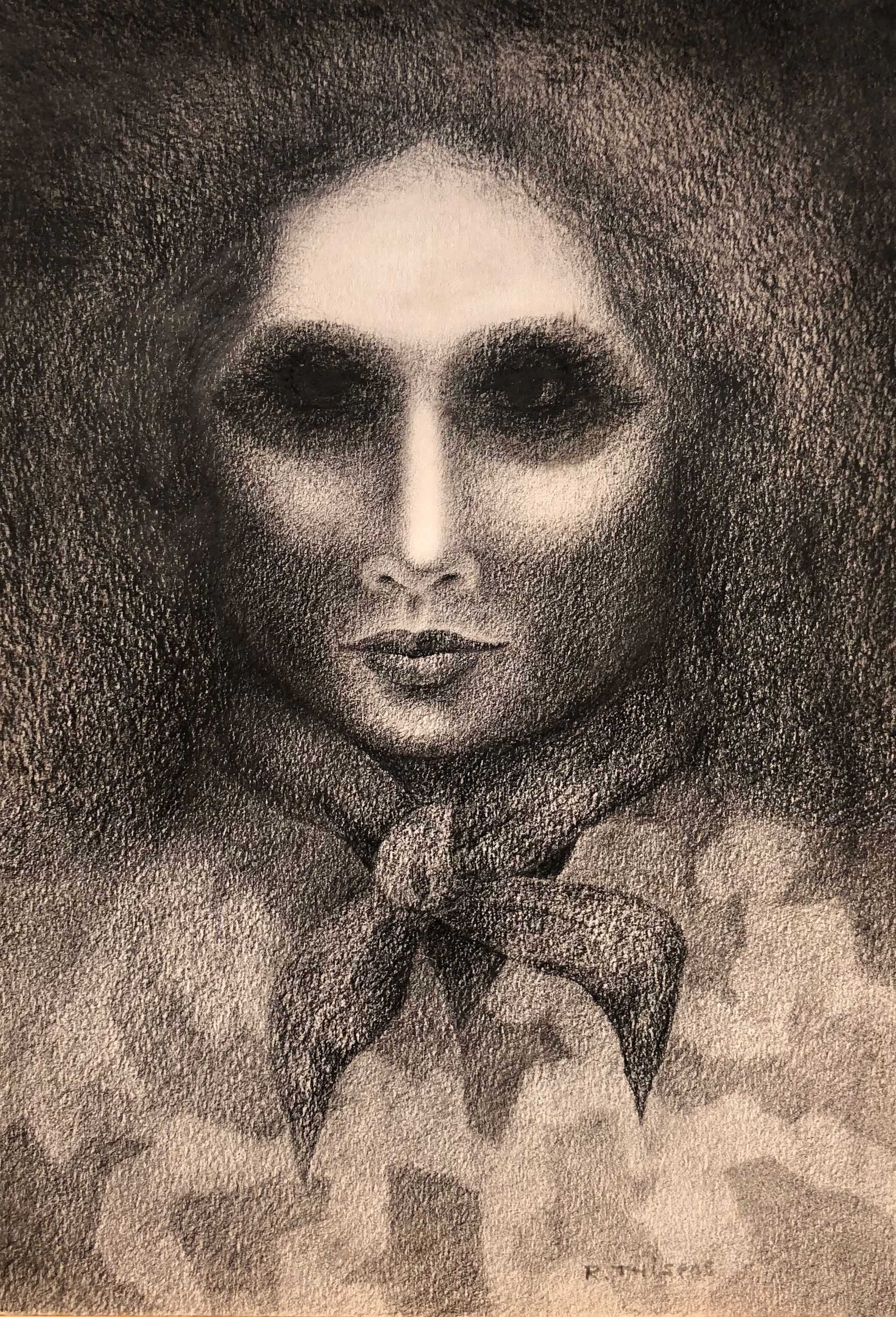 L'activiste, mine de plomb et encre de chine sur carton de Robert Thisens, 35 x 50 cm