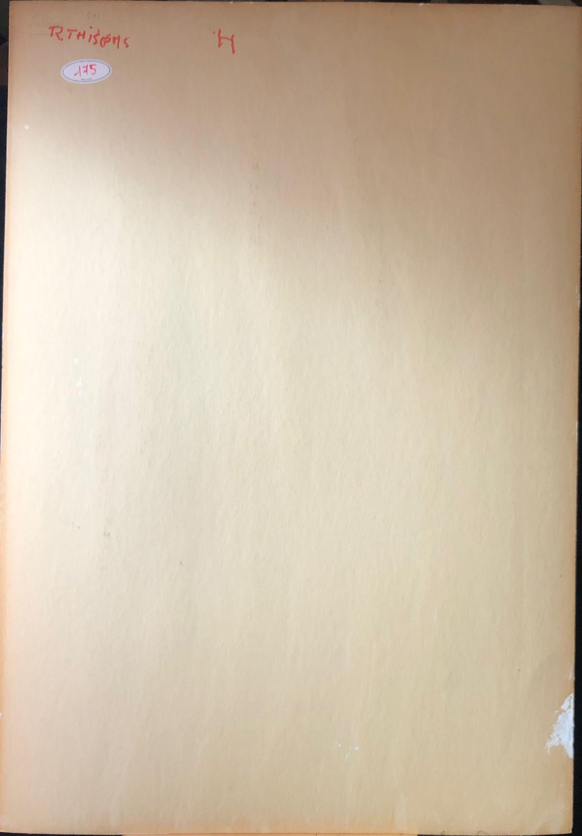 Lumiere, acrylique pastel gras sur carton de Robert Thisens, 70 x 100 cm