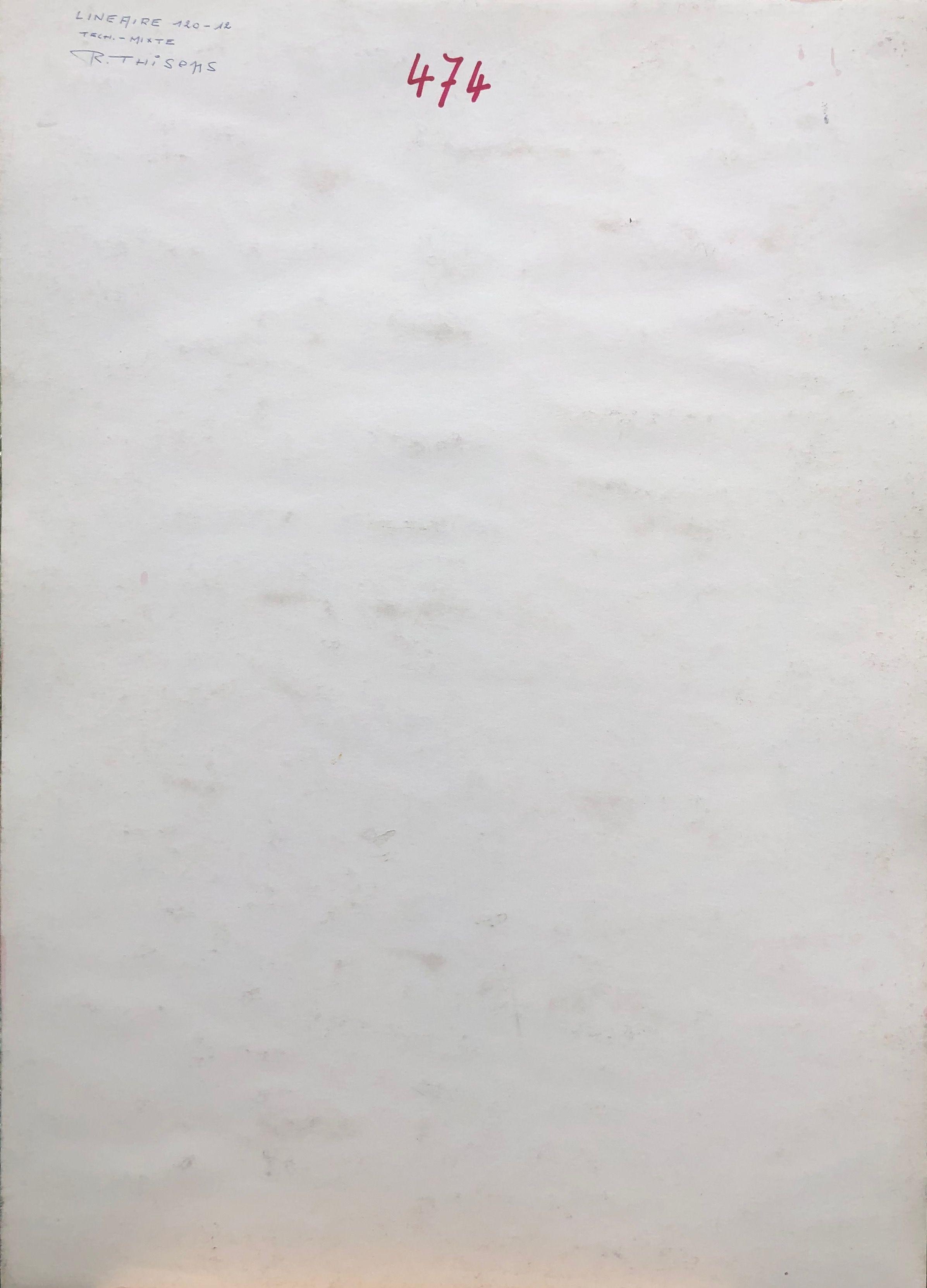 Linéaire, crayon et acrylique sur carton de Robert Thisens, 50 x 70 cm
