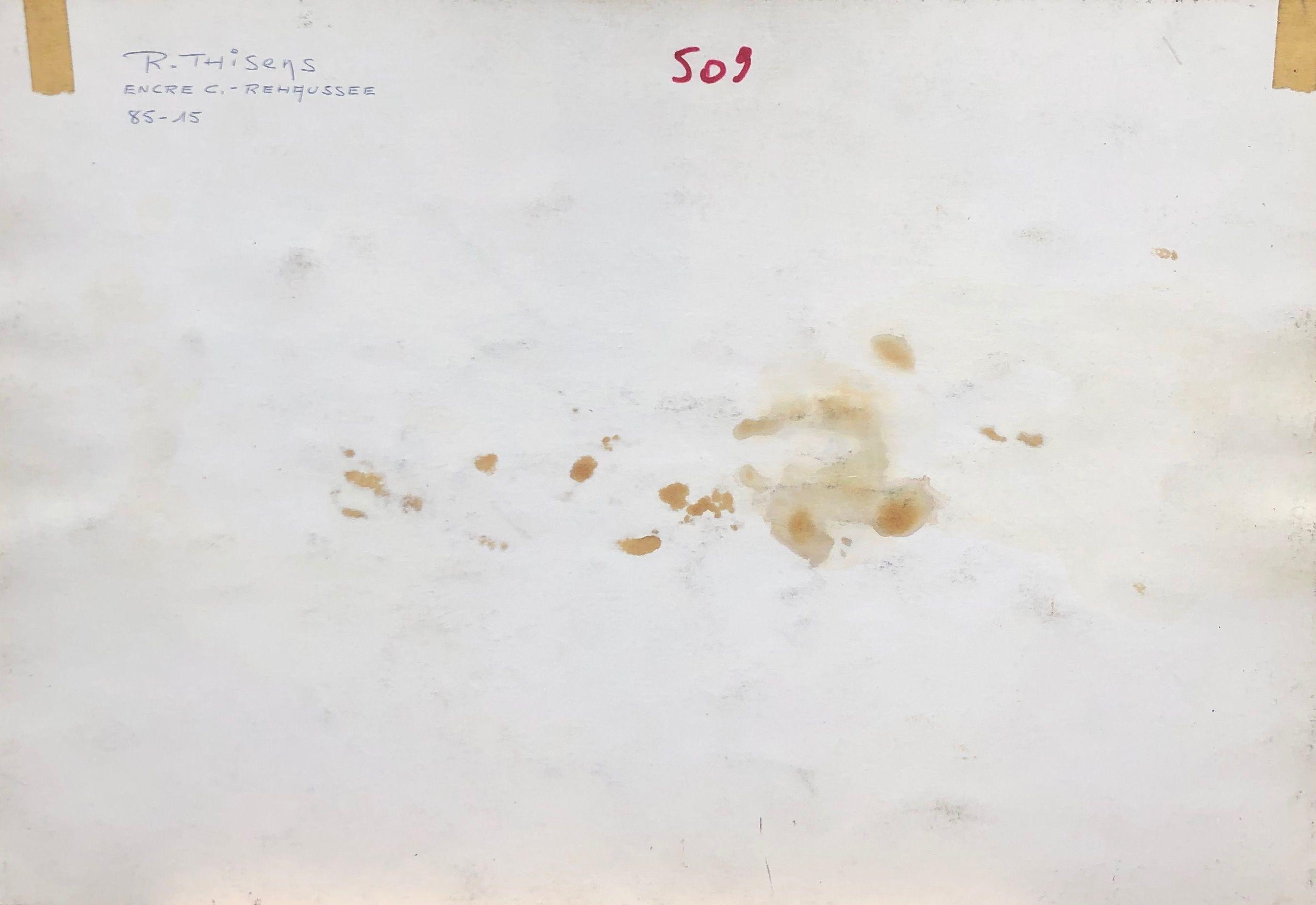 Sans titre, encre rehaussée au pastel sur carton de Robert Thisens, 35 x 50 cm — vue 2