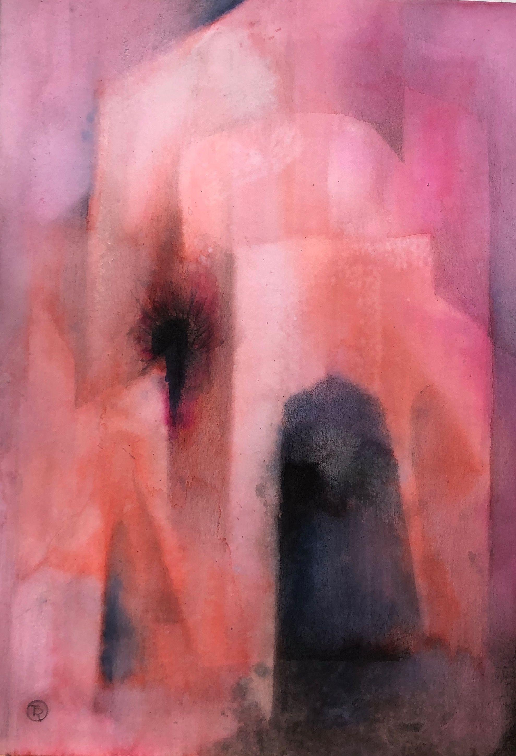 Sans titre, encre rehaussée au pastel sur carton de Robert Thisens, 35 x 50 cm