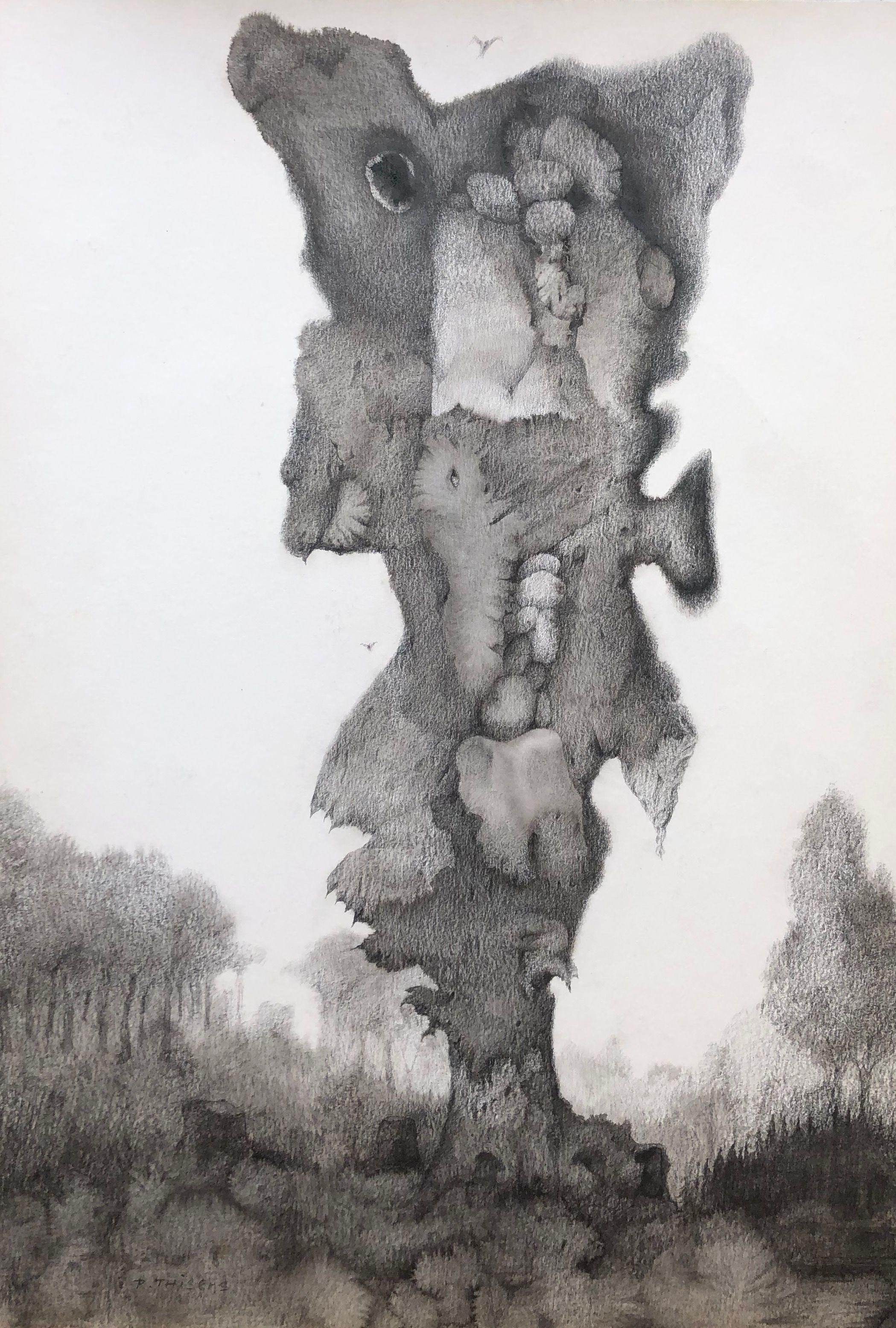 La grande racine, mine de plomb sur carton de Robert Thisens, 35 x 50 cm