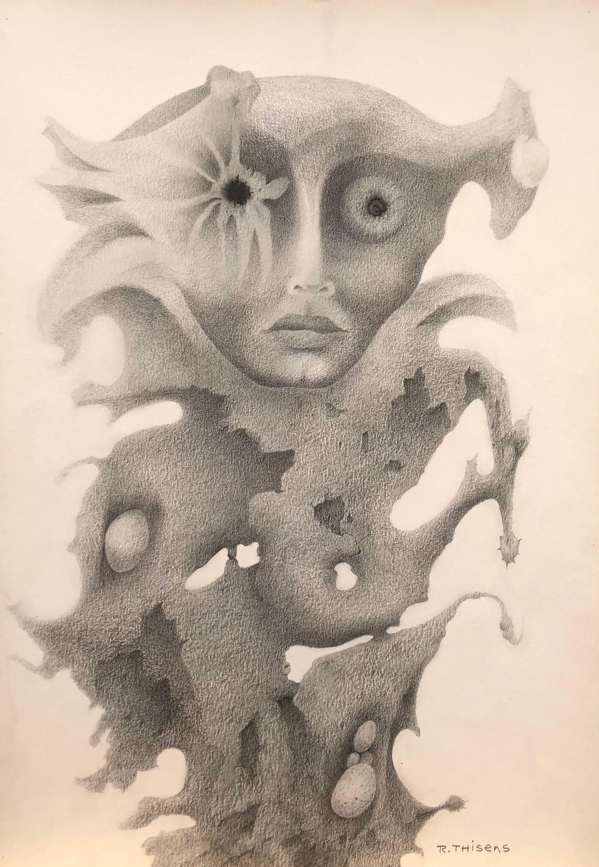 Le fou du roi, mine de plomb sur carton de Robert Thisens, 35 x 50 cm — vue 2