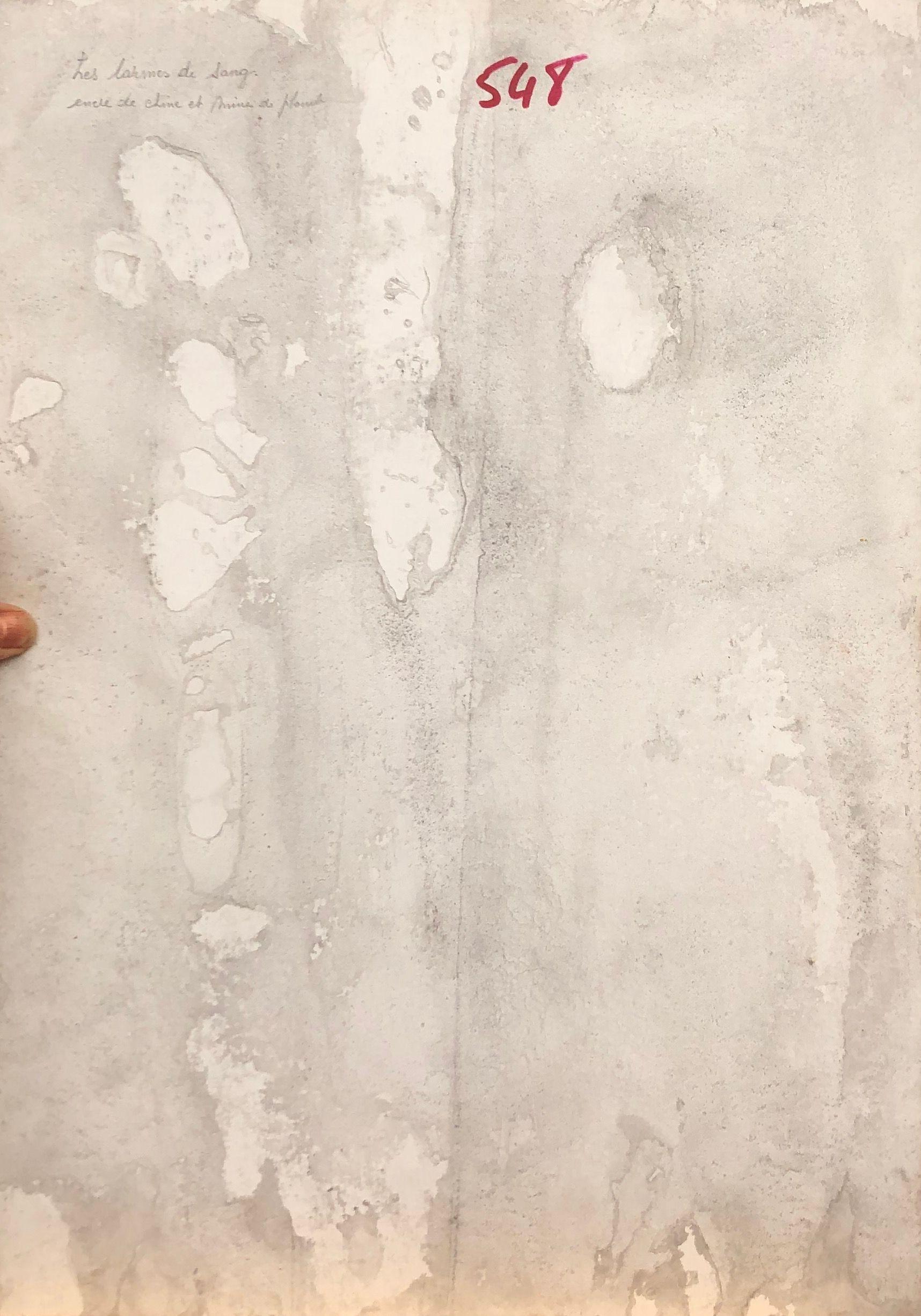 Les larmes de sang, mine de plomb et encre de chine sur carton de Robert Thisens, 35 x 50 cm — vue 2