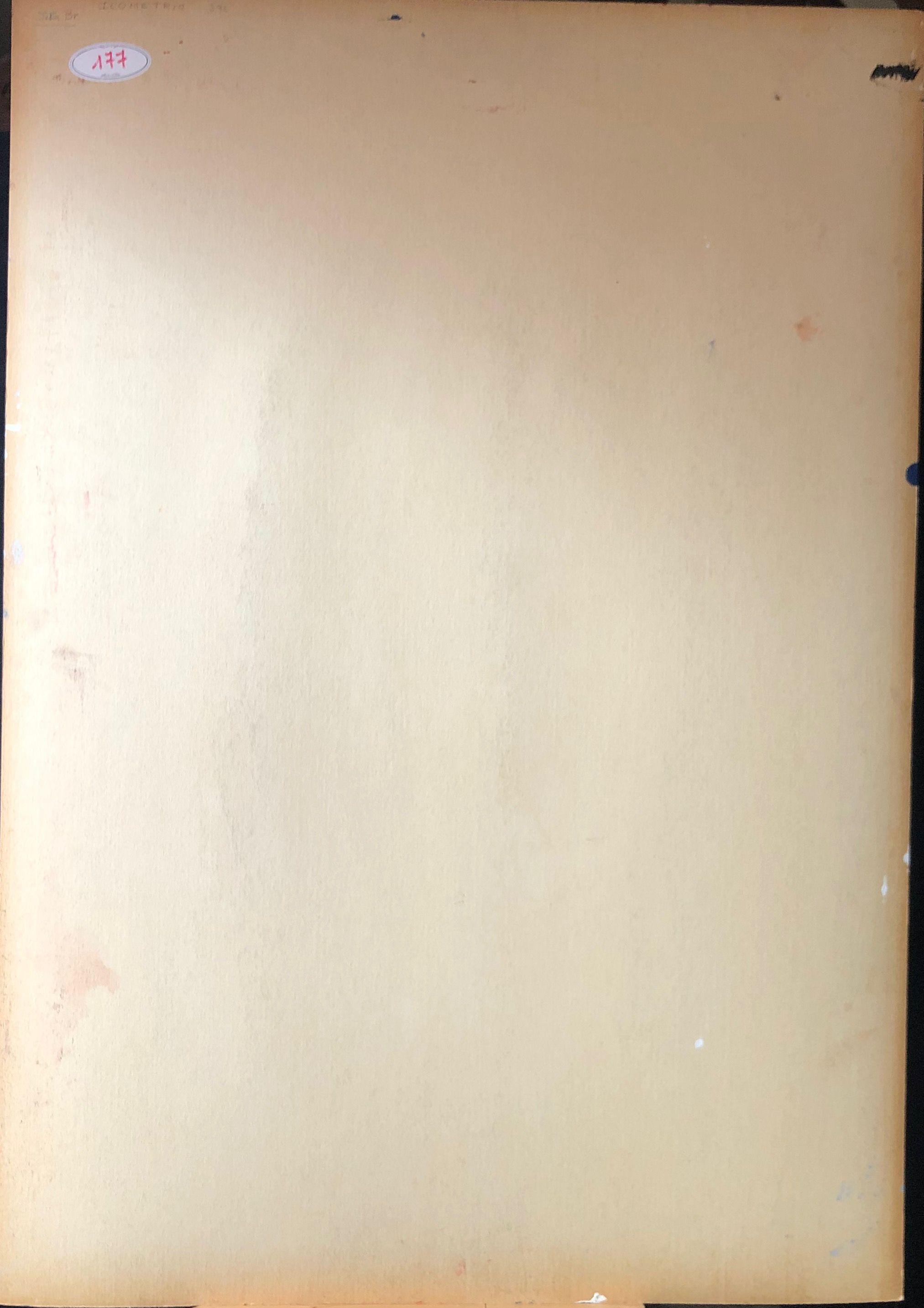 Icometrie, acrylique pastel gras sur carton de Robert Thisens, 70 x 100 cm