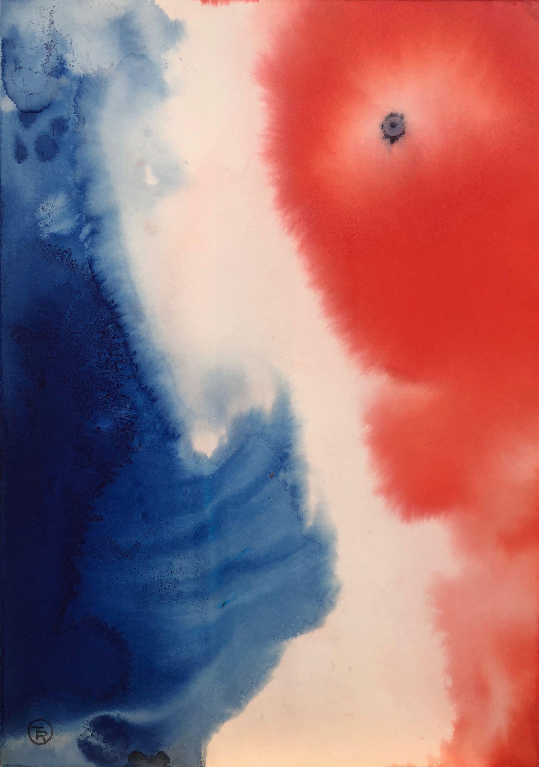 Naissance d'un symbole, encre rehaussée au pastel sur carton de Robert Thisens, 35 x 50 cm