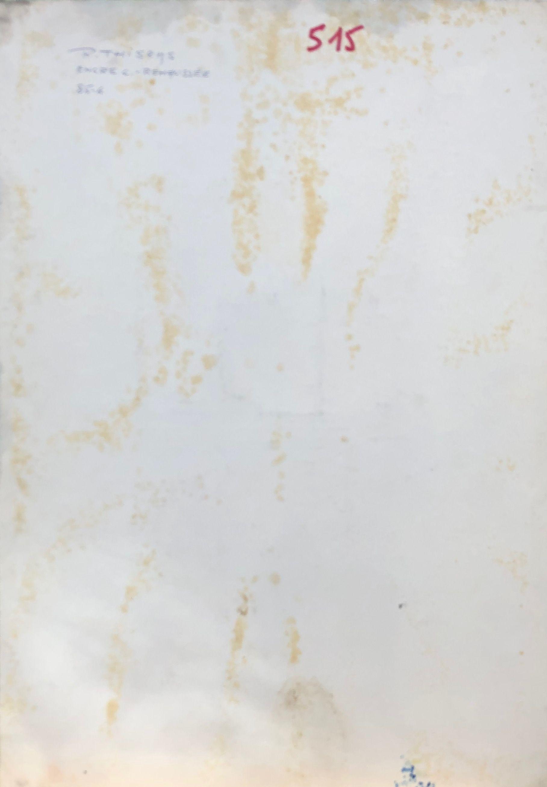 encre rehaussée au pastel sur carton de Robert Thisens, 35 x 50 cm